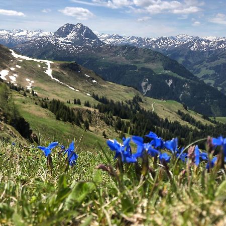 Sonnenschein Appartement Rebecca Kirchberg in Tirol Exteriér fotografie