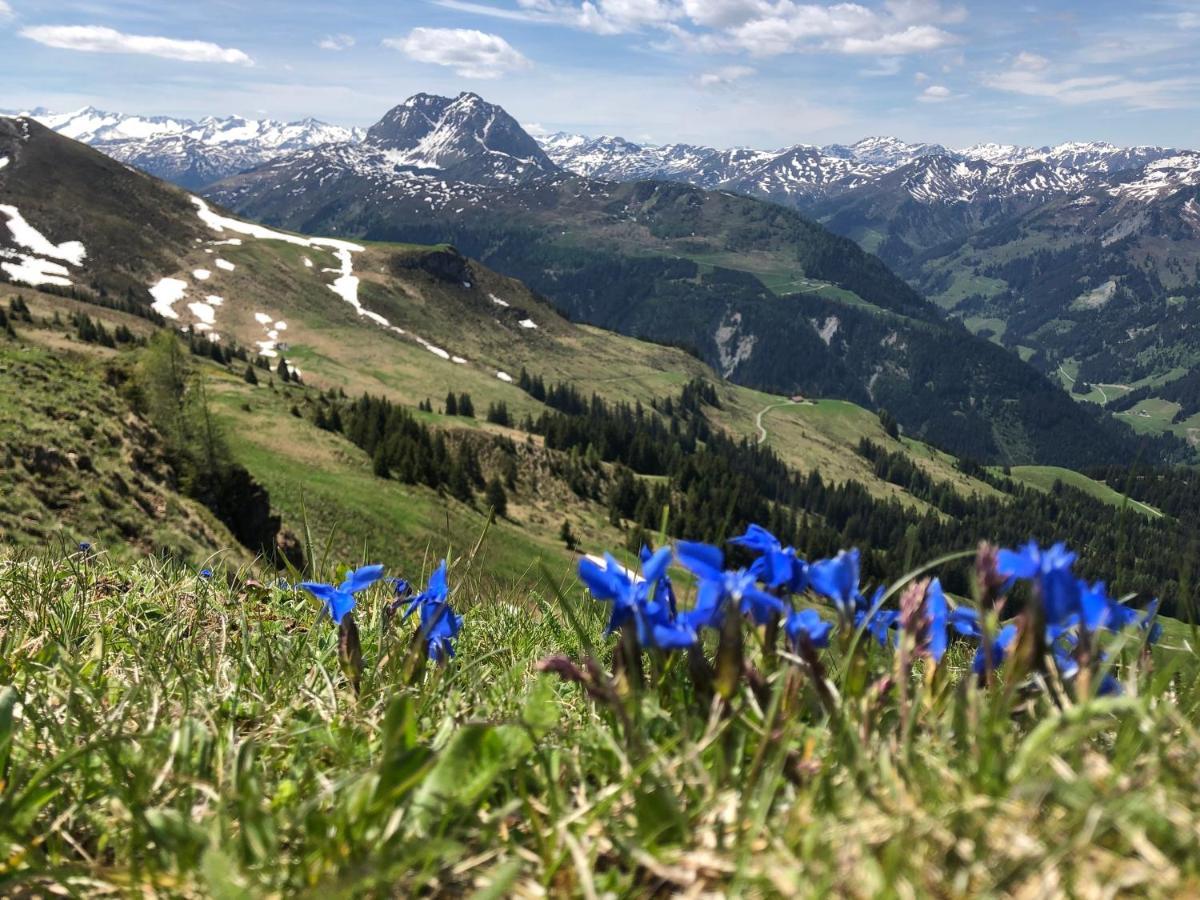 Sonnenschein Appartement Rebecca Kirchberg in Tirol Exteriér fotografie